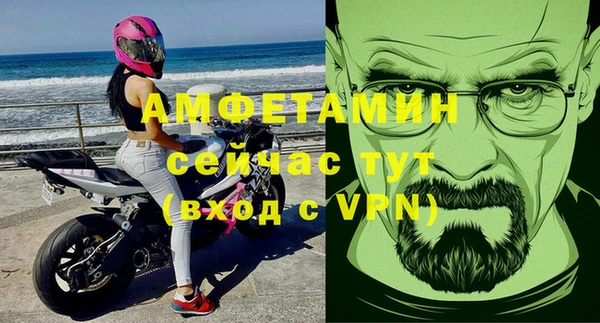 шишки Карпинск
