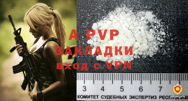 спайс Касимов