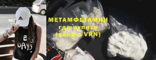 шишки Карпинск