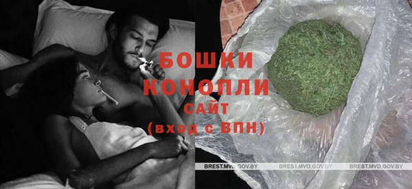 шишки Карпинск