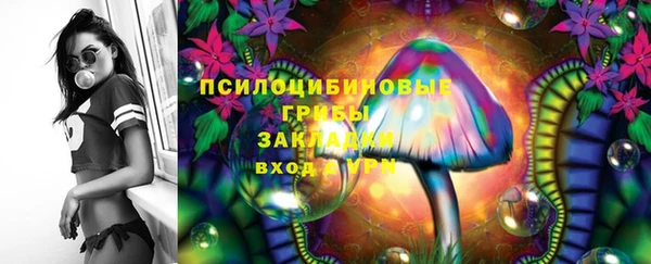 шишки Карпинск