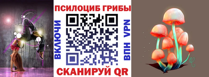 Галлюциногенные грибы мицелий  Купить закладки  Новоалтайск 
